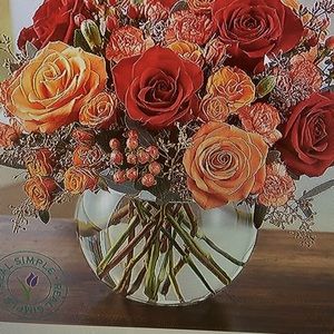 Meet your Posher, Colleen